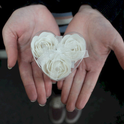 White Soap Roses / Hvítar Sápurósir